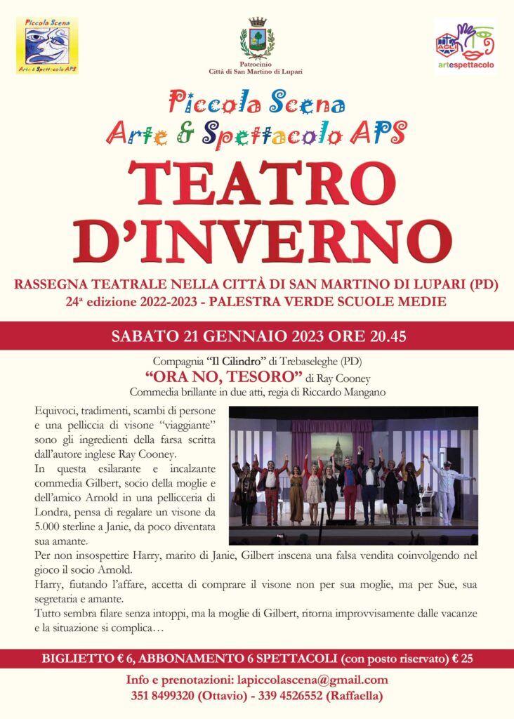 Teatro d'Inverno a San Martino di Lupari 16